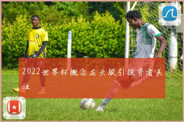2022世界杯概念龙头股引投资者关注